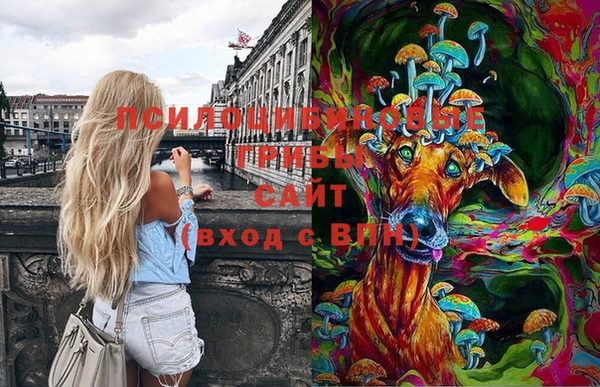не бодяженный Алексин
