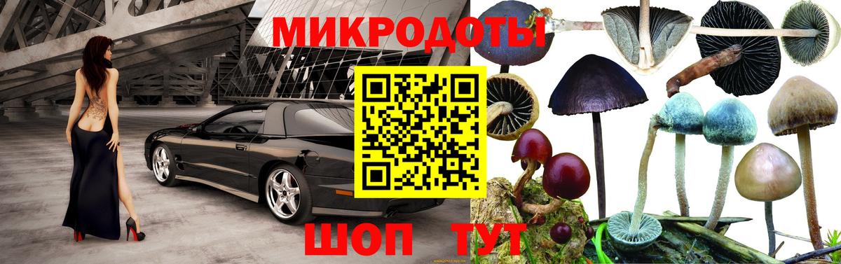 Псилоцибиновые грибы Magic Shrooms Кашира